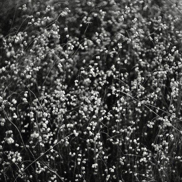 Meet your Posher, Em - Picture 3 of 4